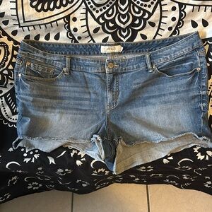 CLOSET CLOSING-Torrid shorts Size 24